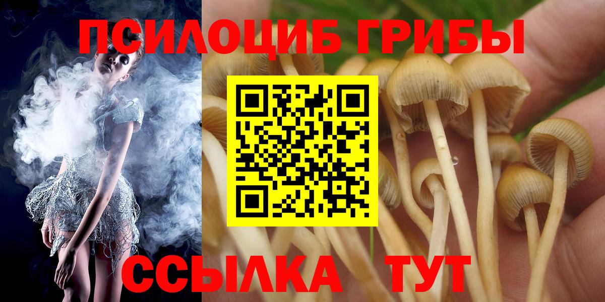 Можайск  Псилоцибиновые грибы MAGIC MUSHROOMS  Вход с VPN 